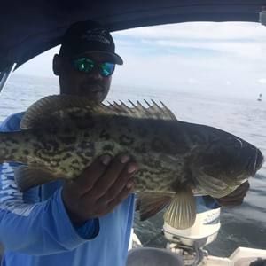 Meet your Posher, Duwan